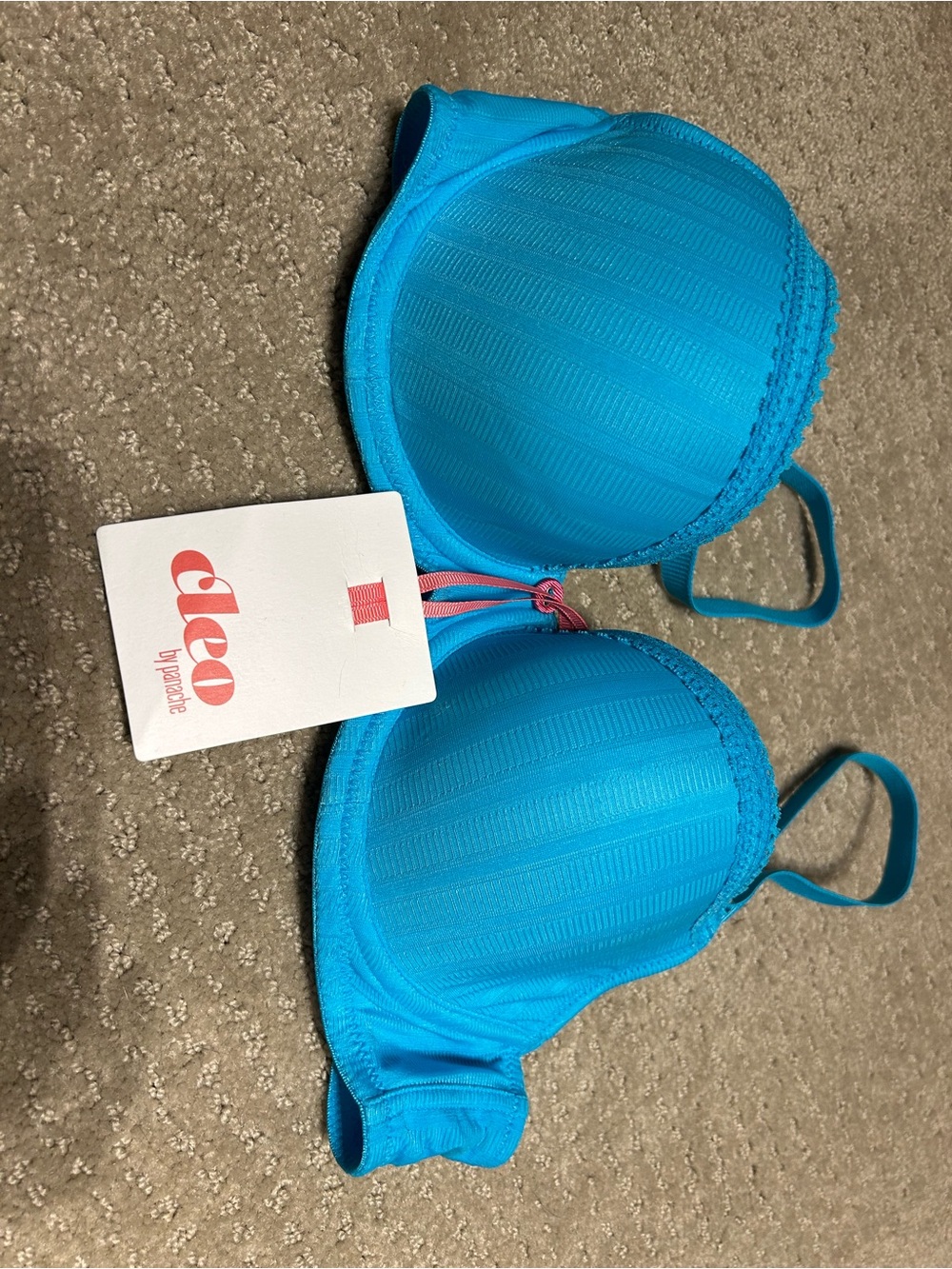 NWT Cleo by Panache Maddie Moulded T-shirt Bra, Aqua 30DD - Picture 2 of 14